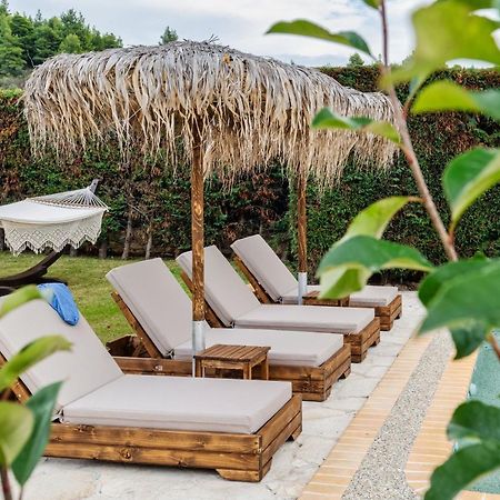 Palmrise Luxury Villas By Travel Pro Services - Nea Skioni Halkidiki エクステリア 写真