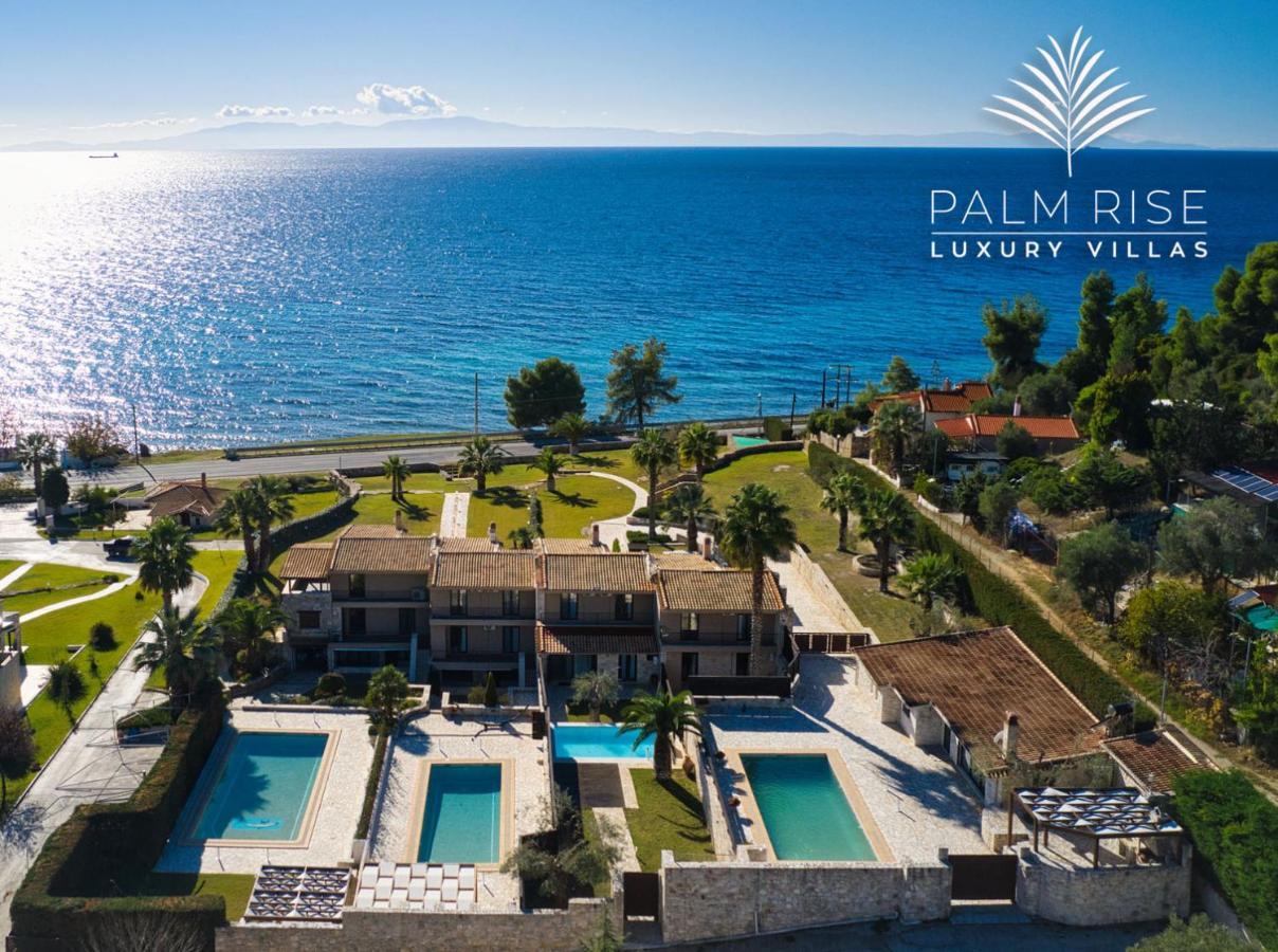 Palmrise Luxury Villas By Travel Pro Services - Nea Skioni Halkidiki エクステリア 写真