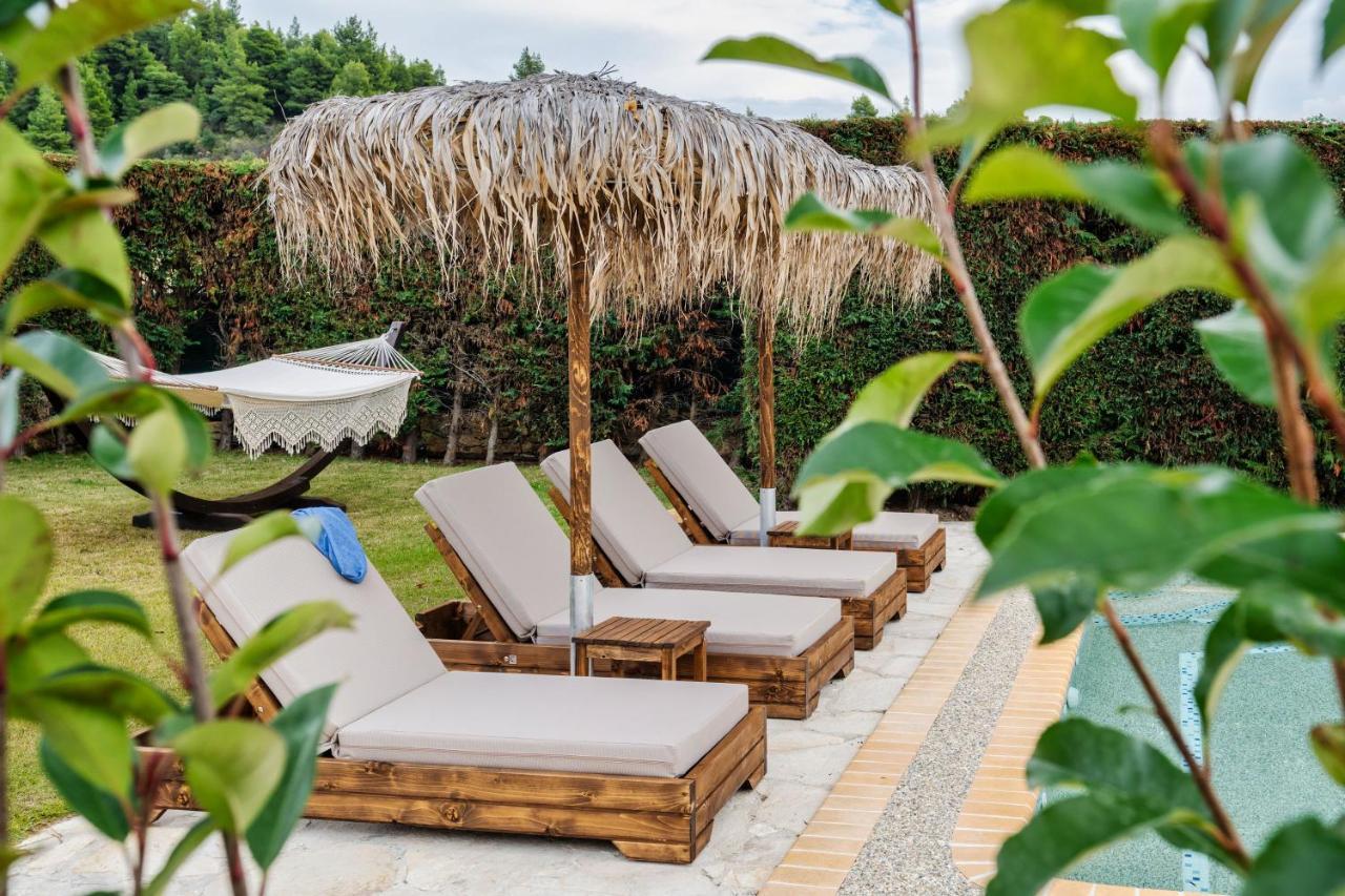 Palmrise Luxury Villas By Travel Pro Services - Nea Skioni Halkidiki エクステリア 写真